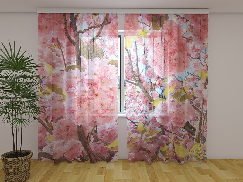 Tende Sakura Rosa