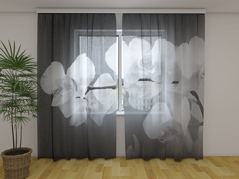 Tende Orchidee Musicali in Bianco e Nero