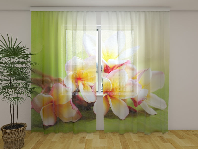 Tende Fiori Primaverili