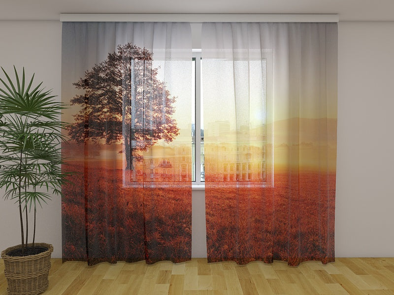 Tende Tramonto e Albero