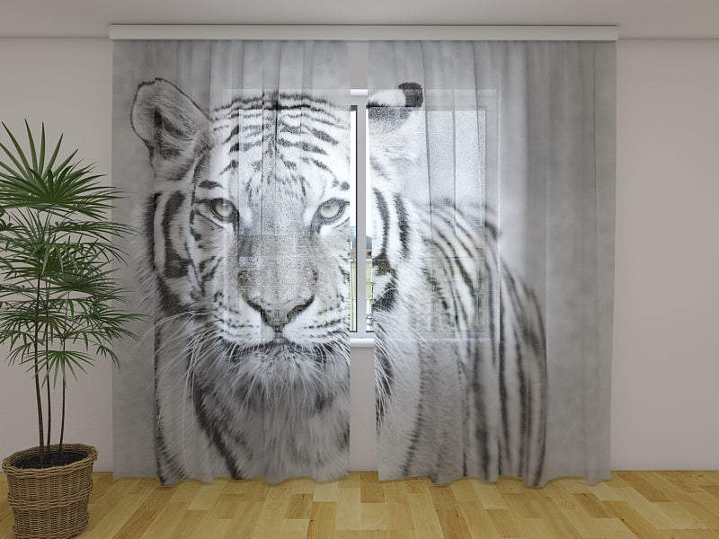 Tende Tigre Bianca