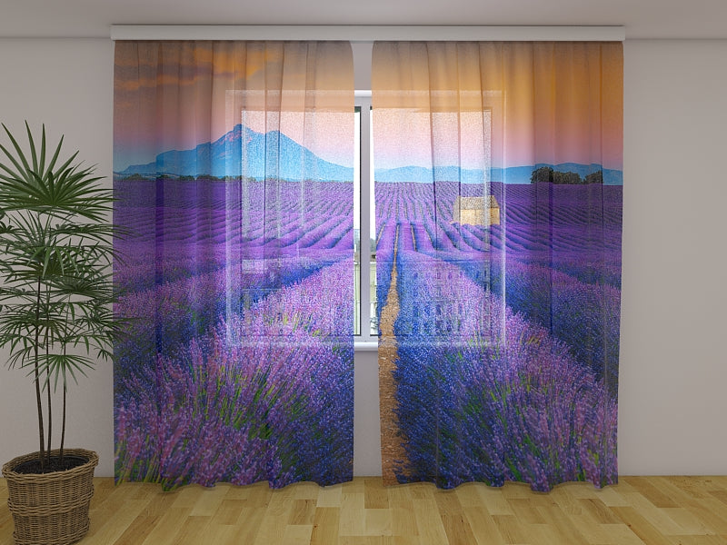 Tende Meravigliosi Campi di Lavanda in Provenza