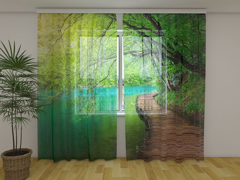 Tende Sentiero in Legno nella Foresta
