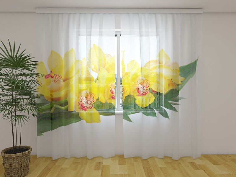 Tende Orchidee Gialle