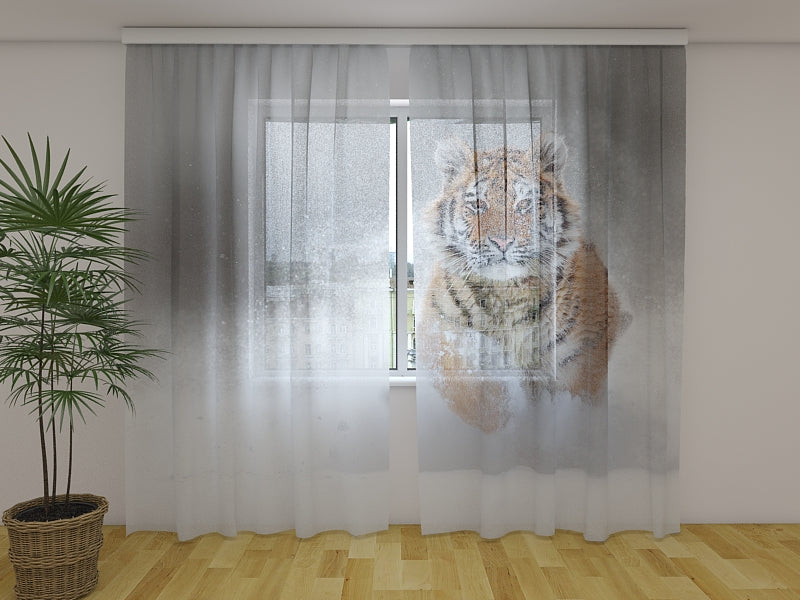 Tende Tigre Dell'Amur