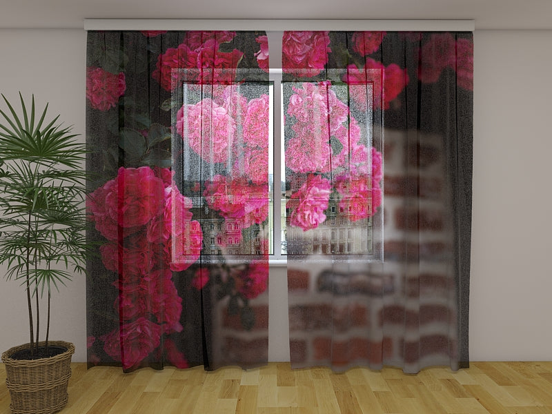 Tende Cespuglio di Rose Rosa sul Muro di Mattoni