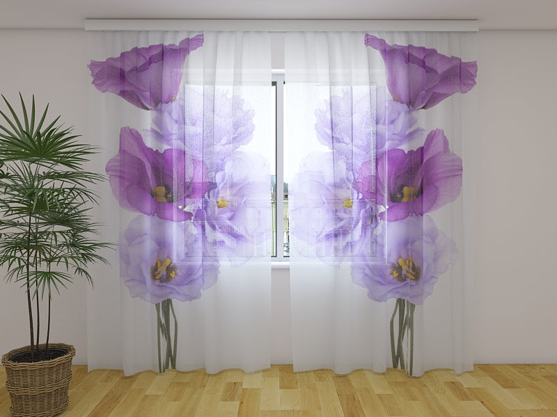 Tende Fiore Muse
