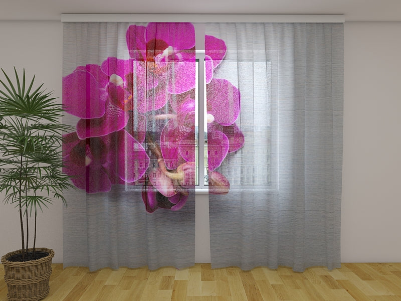 Tende Orchidea Color Lampone su Legno Grigio. Prezzo conveniente