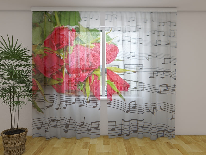 Tende Rose e Note