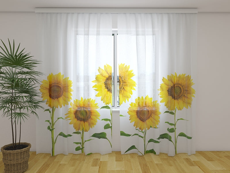 Tende Girasoli Gialli Estivi