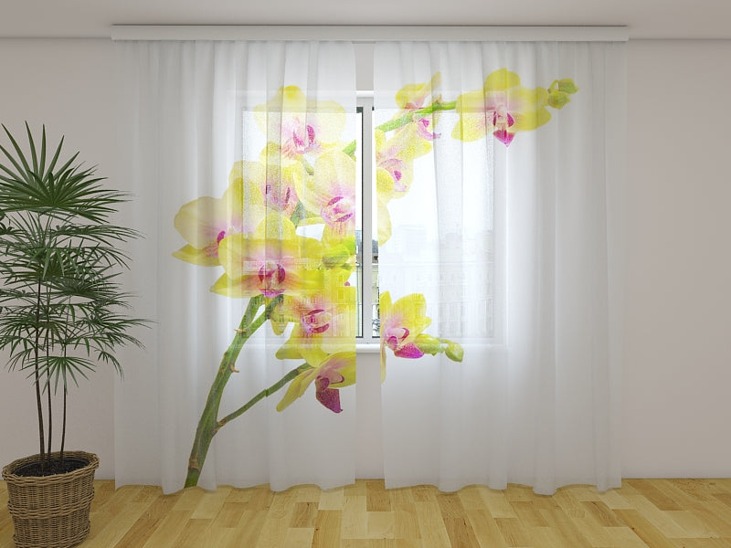 Tende Orchidea Solare 2