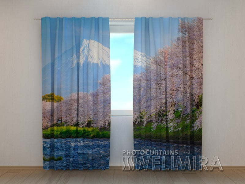 Tende Monte Fuji e Ciliegi