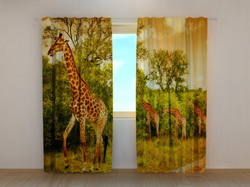 Tende Giraffe