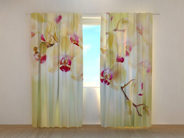 Tende Orchidee Dorate