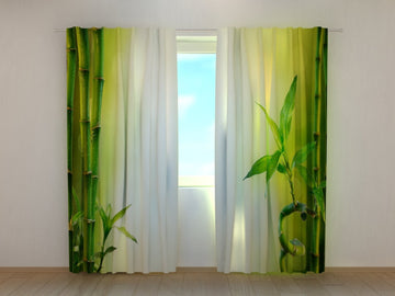 Tende Bambù Fresco Verde