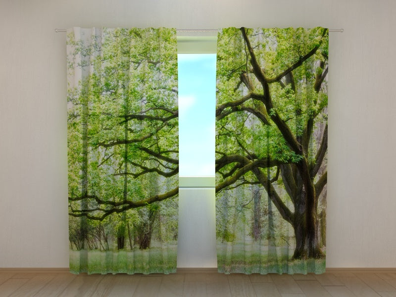 Tende Albero Verde