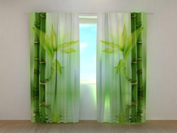 Tende Bambù Verde