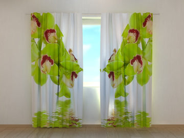 Tende Orchidea Color Lime