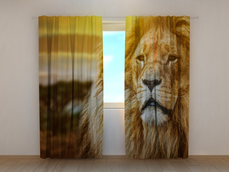 Tende Leone nella Savana