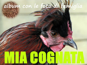 Tovagliette americane in tessuto cm.45x 30 con quella gallina di mia cognata