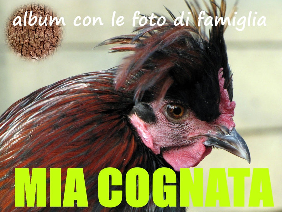 Tovagliette americane in tessuto cm.45x 30 con quella gallina di mia cognata