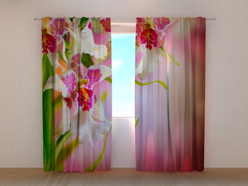 Tende Orchidee Maculate