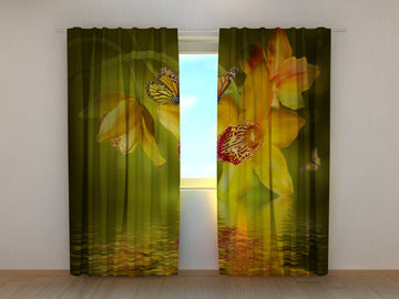 Tende Orchidee Calde