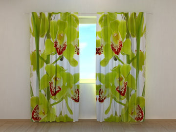 Tende Orchidea Rampicante. PREZZO CONVENIENTE