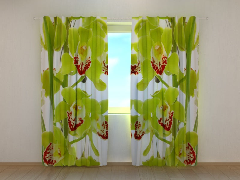 Tende Orchidea Rampicante. PREZZO CONVENIENTE