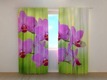 Tende Orchidea Romantica