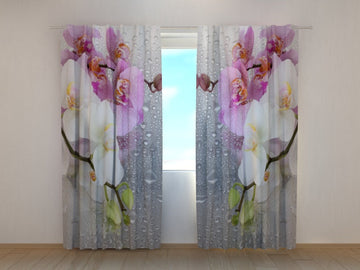 Tende Orchidee e Pioggia