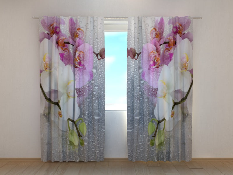 Tende Orchidee e Pioggia