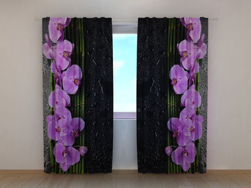 Tende Orchidee su Fondo Nero