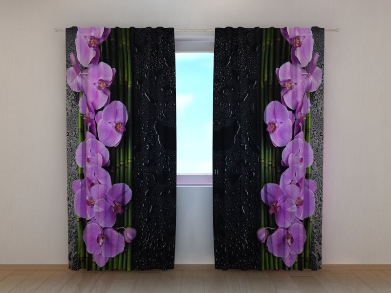 Tende Orchidee su Fondo Nero