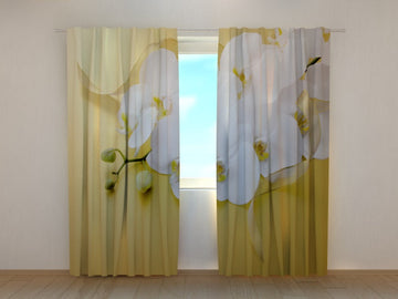 Tende Orchidee su Oro