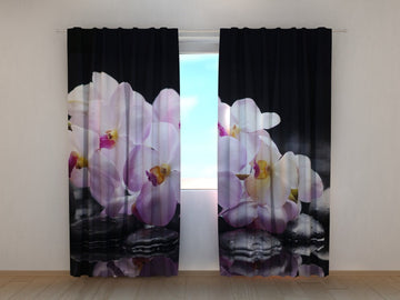 Tende Orchidee su Pietre