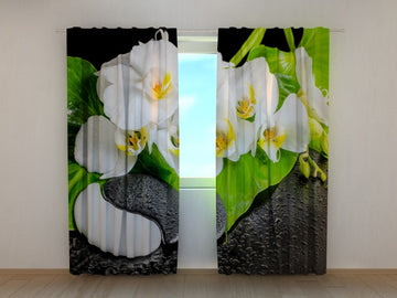 Tende Orchidee con Pietre Yin Yang
