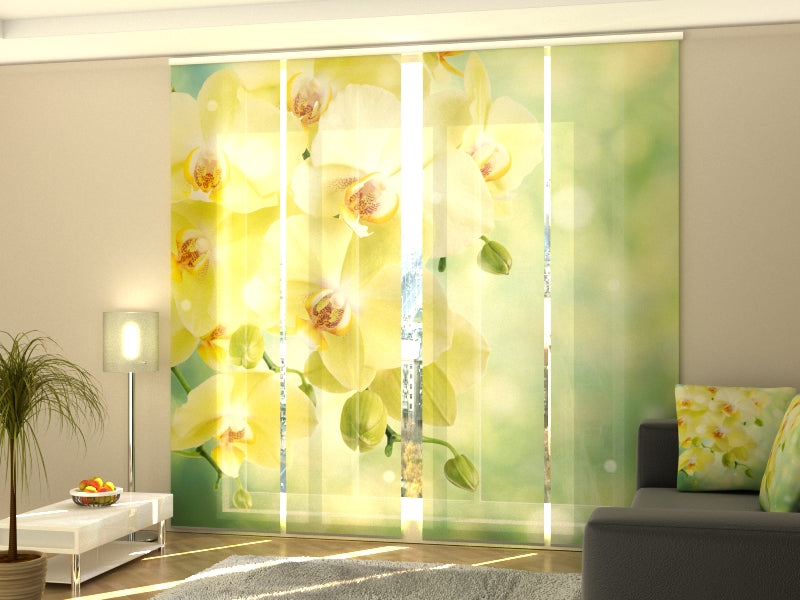 Set di 4 Tende a Pannello Bellissime Orchidee di Limone