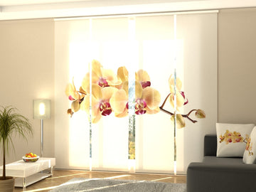 Set di 4 Tende a Pannello Orchidea Dorata su Bianco