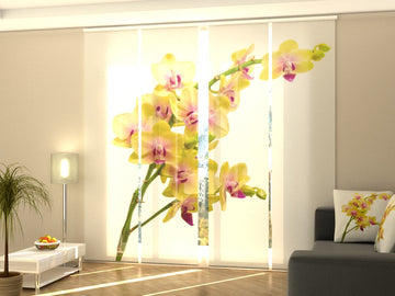 Set di 4 Tende a Pannello Orchidea Solare 2