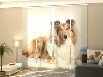 Set di 4 Tende a Pannello Magnifico Collie