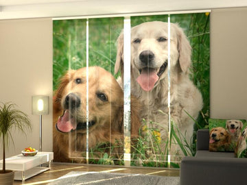 Set di 4 Tende a Pannello Labrador sul Prato