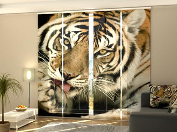 Set di 4 Tende a Pannello Tigre 2