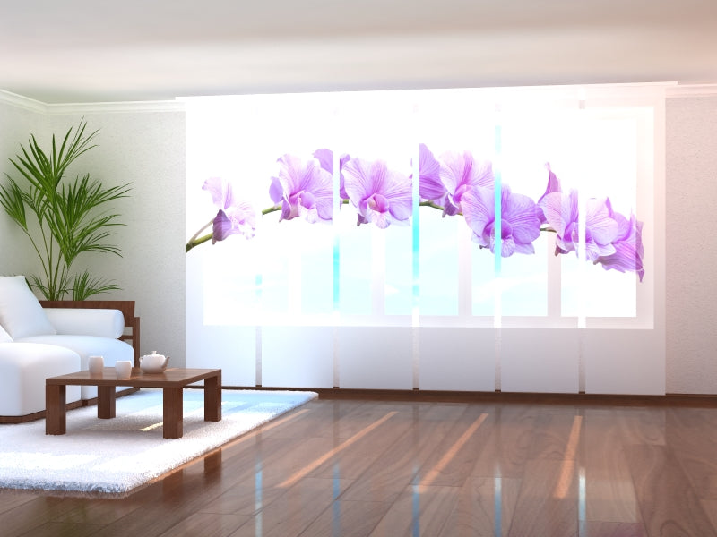 Set di 6 Tende a Pannello Fantastiche Orchidee Lilla