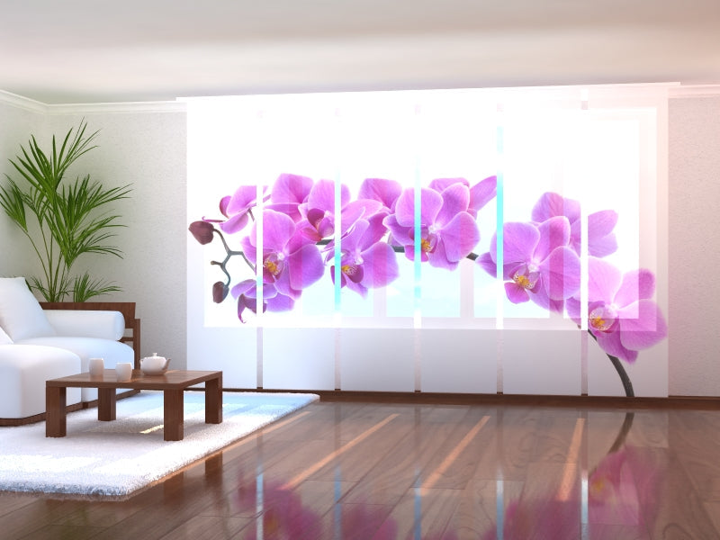 Set di 6 Tende a Pannello Grandi Orchidee