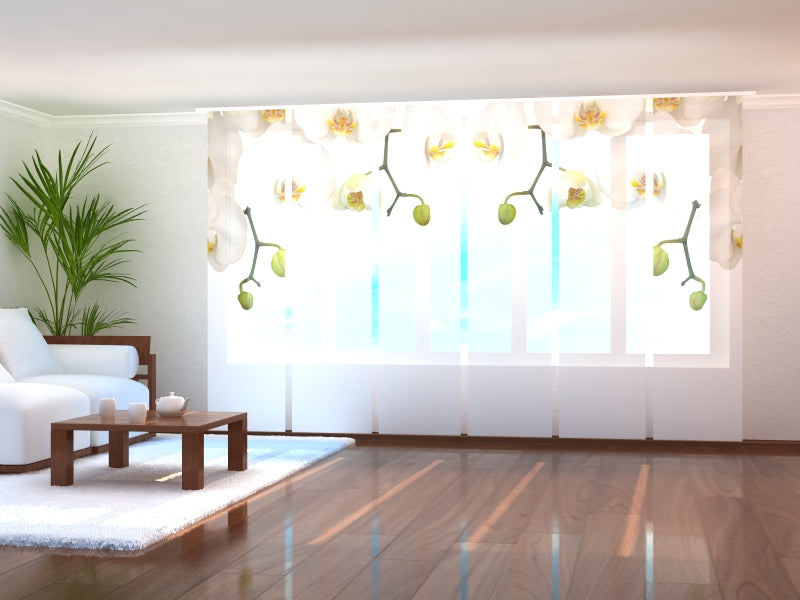 Set di 6 Tende a Pannello Grandi Orchidee