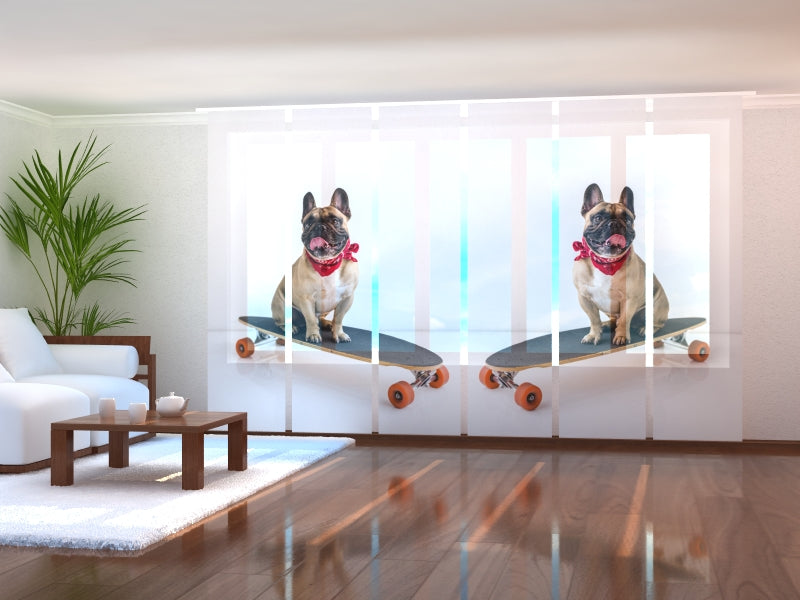 Set di 6 Tende a Pannello Bulldog Francese su Skateboard