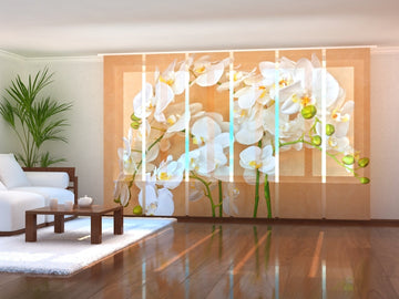 Set di 6 Tende a Pannello Orchidee Asiatiche
