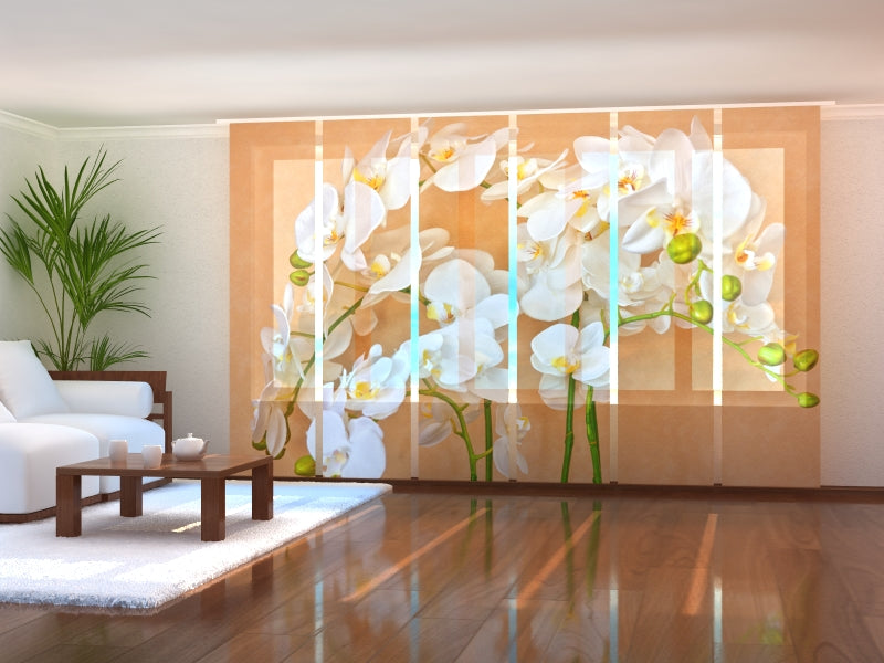 Set di 6 Tende a Pannello Orchidee Asiatiche