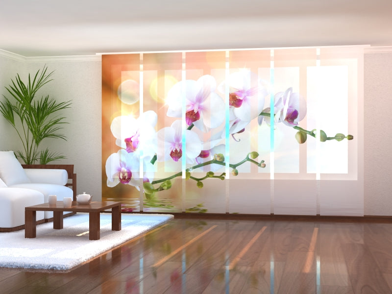 Set di 6 Tende a Pannello Orchidea Perfetta